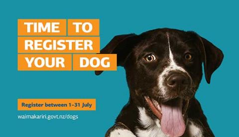 It's Doggy Rego Time