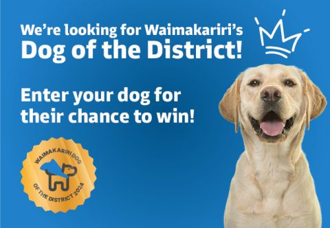 Entries are open for Waimakariri’s Dog of the District