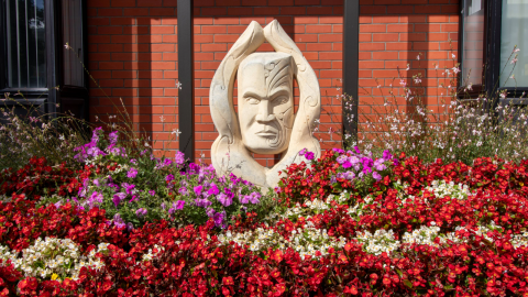 Summer Bedding Plant Giveaway