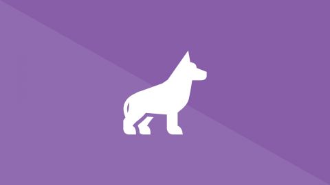 Milton Memorial Dog Park Works