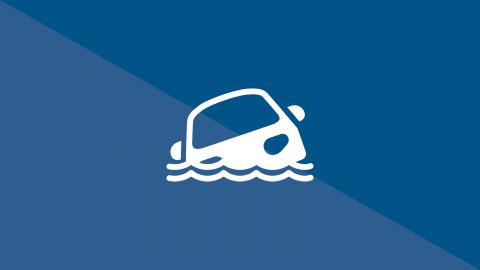 Fords Update - 30 April 2025