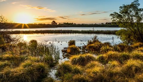 Embrace Autumn in Waimakariri's Parks & Reserves