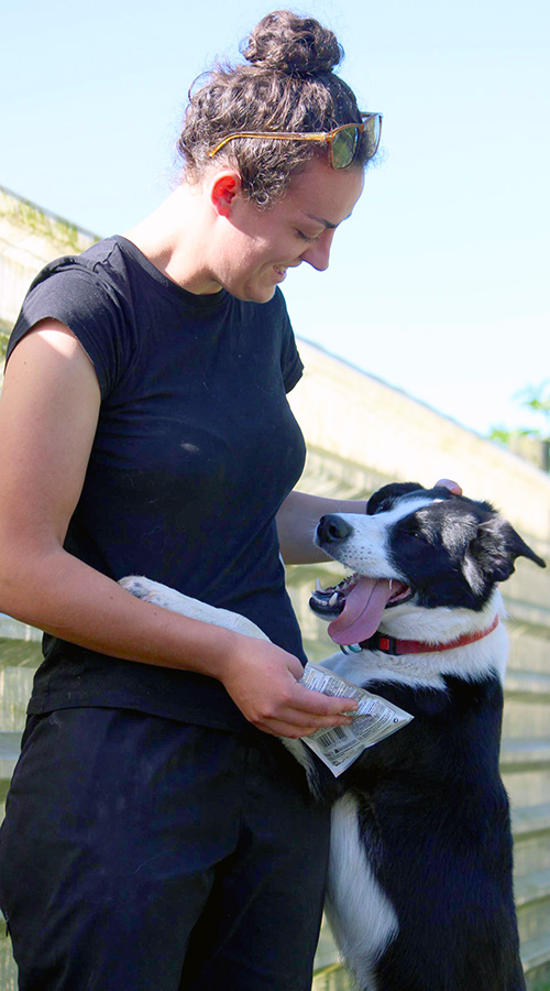 mel and her dog
