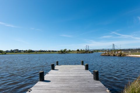 Algal Bloom Warning Lifted for Lake Pegasus