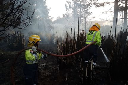 Wildfires