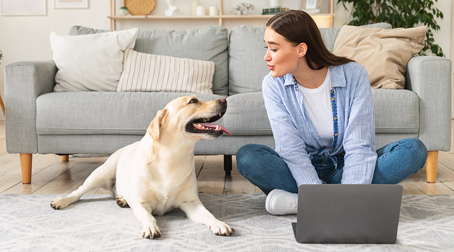 dog and owner on the ground with laptop
