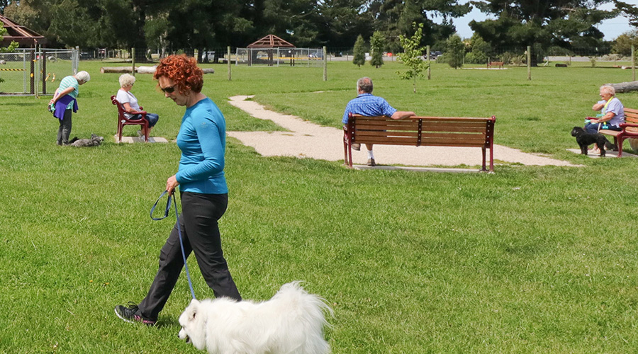 milton memorial park dog park