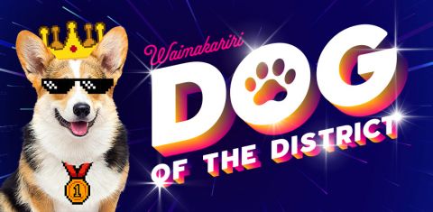 We're Looking for Waimakariri's Dog of the District