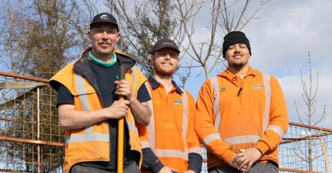 New trees sprouting up on Waimakariri streets