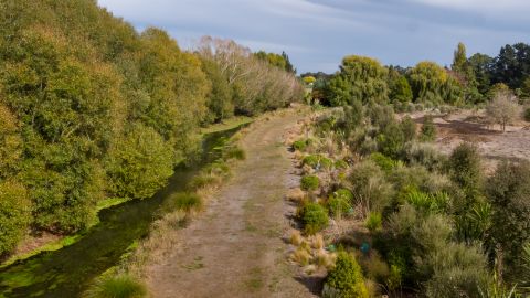 Discover Silverstream: A Whānau-Friendly Stroll to Celebrate the 2025 Walking Festival