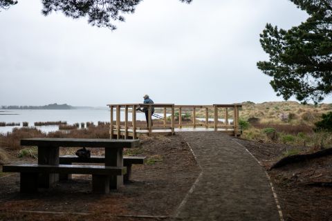 New Viewing Platform Opens Over Ashley-Rakahuri Estuary 