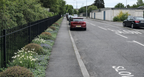 Blake St: From Drab to Bee-autiful
