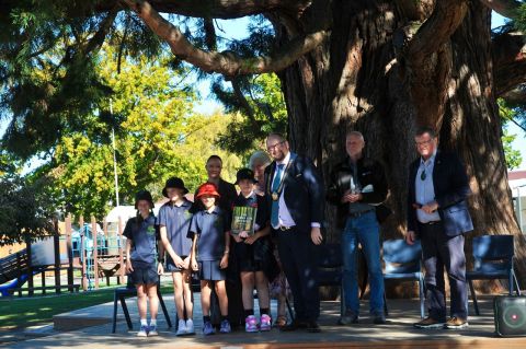 Waimakariri's Tree of the Year