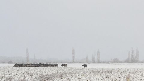 Heavy Rain Watch and Heavy Snow Warning