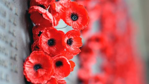 ANZAC Day Services Across the Waimakariri