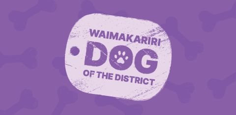 Dog of the District: Put Your Best Pal Forward